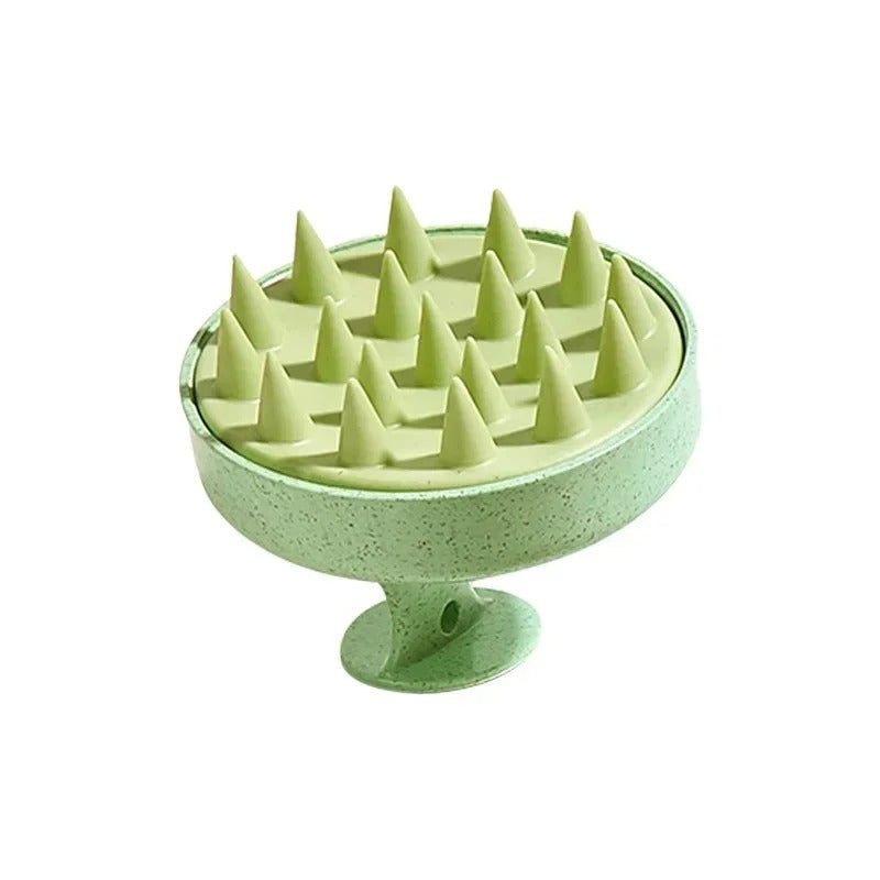 Escova de Massagem Para o Couro Cabeludo